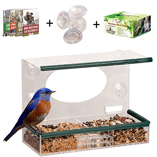 Clear Window Bird Feeder – Enjoy Unique Watch Small & Large Birds. See Through Bird House, Mounted By 4 Strong Suction Cups, Squirrel Proof With Removable Tray. Unusual Gifts for Kids & Bird Lovers