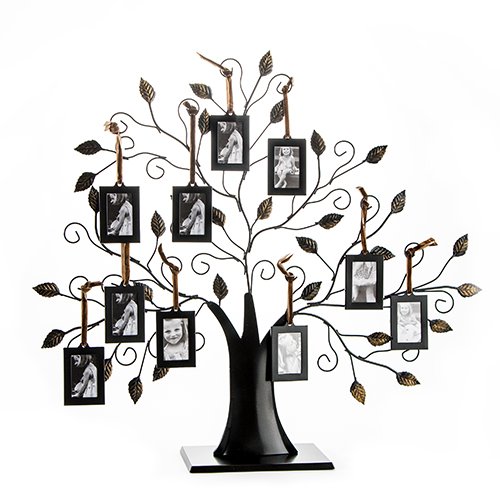 Klikel Family Tree Frame Display with 10 Hanging Picture Photo Frames